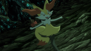 XY102 - Roussil de Serena.png