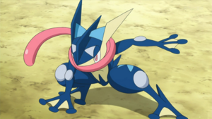 XY106 - Amphinobi de Sacha.png