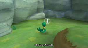 Rive du Lac Plume Blanc Réel 3 PPk2.png