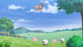 Munna et Moumouton (sauvages)