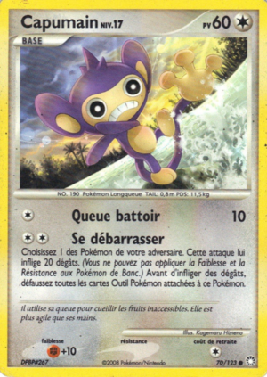 Carte Diamant & Perle Trésors Mystérieux 70.png