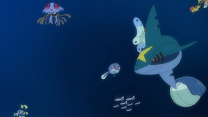 SL126 - Sharpedo.png
