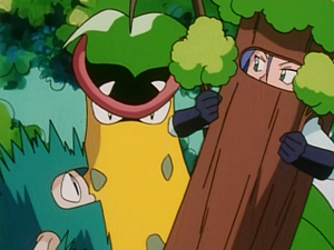 EP144 - Empiflor de James.png