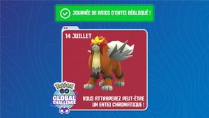 Journée Entei.jpg