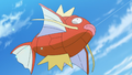 Magicarpe (sauvage ► de Goh)