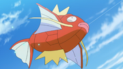 Magicarpe(sauvage ► de Goh)