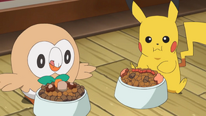 SL096 - Brindibou et Pikachu de Sacha.png