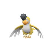 Plumage Jaune