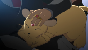 XY003 - Persian de Giovanni.png