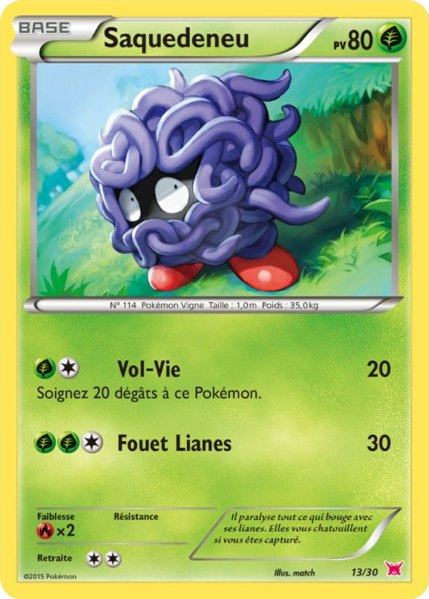 Fichier:Carte XY Kit du Dresseur Latias 13.png