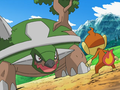 Torterra (de Paul)