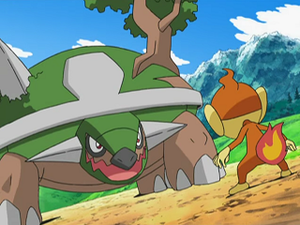 DP132 - Torterra de Paul.png