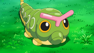 NB130 - Chenipan.png
