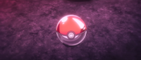 Une Poké Ball. (Épisode : Le Maître)