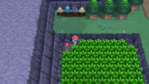 Route 207 Poké Ball DEPS.png