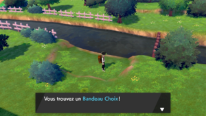 Route 2 Bandeau Choix EB.png