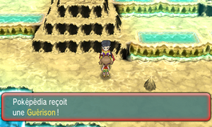 Site Météore Guérison ROSA.png