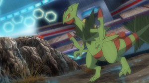 XY126 - Méga-Jungko de Liam.png