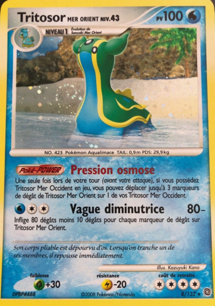 Fichier:Carte Diamant & Perle Merveilles Secrètes 8.png