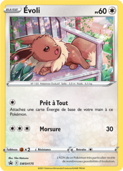 Évoli (Promo SWSH 175)