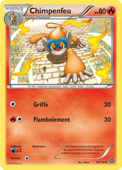 Chimpenfeu (XY Offensive Vapeur 19)