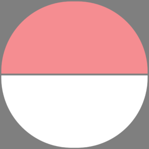 Poké Ball - Kiosque photo.png