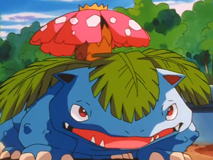 Florizarre de James.png