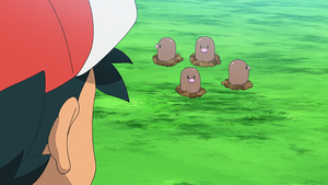 LV002 - Taupiqueur.png