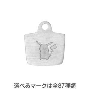 Plaque Pikachu Or blanc u-treasure.jpg