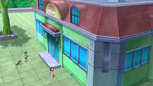 XY005 - Mysdibule d'un Dresseur.png