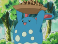 Azumarill (sauvage)