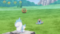 Pachirisu, Virovent et Dodoala (sauvage)