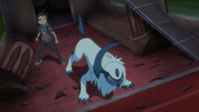Absol(de Goh)