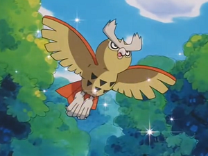 EP198 - Noarfang de Sacha.png