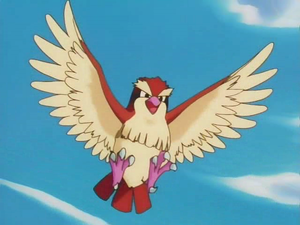 Roucool de Cathy.png