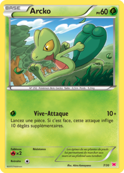 Arcko (XY Kit du Dresseur Latias 7)