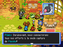 Pijako demande de se concentrer sur la capture de Massko.
