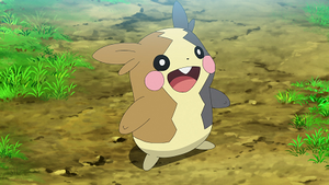 LV070 - Morpeko de James.png