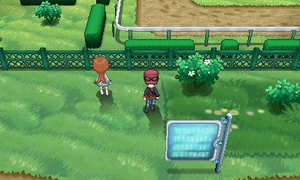 Route 22 XY.png