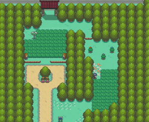Route 37 HGSS.png