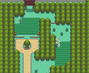 Pokémons sauvages 300px-Route_37_HGSS