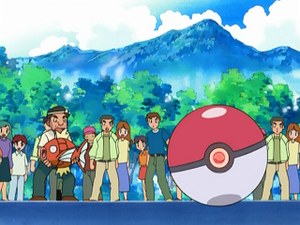 AG182 - Magicarpe du Vendeur de Magicarpe.png