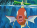 Magicarpe (sauvage)