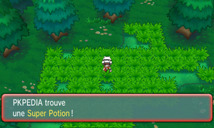 Route 104 Super Potion ROSA.png