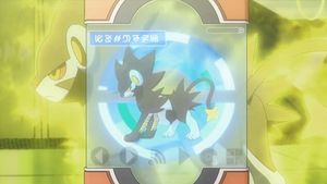 XY062 - Luxray Pokédex.png