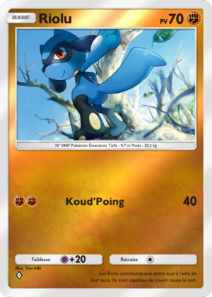 Carte Booster de Luxe ex 211.png