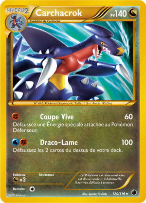 Carte Noir & Blanc Glaciation Plasma 120.png