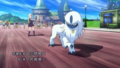 Absol (d'Astrid)