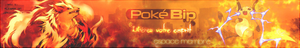 Pokébip - 2013 - 2.png