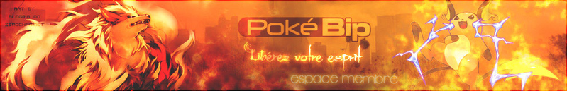 Fichier:Pokébip - 2013 - 2.png